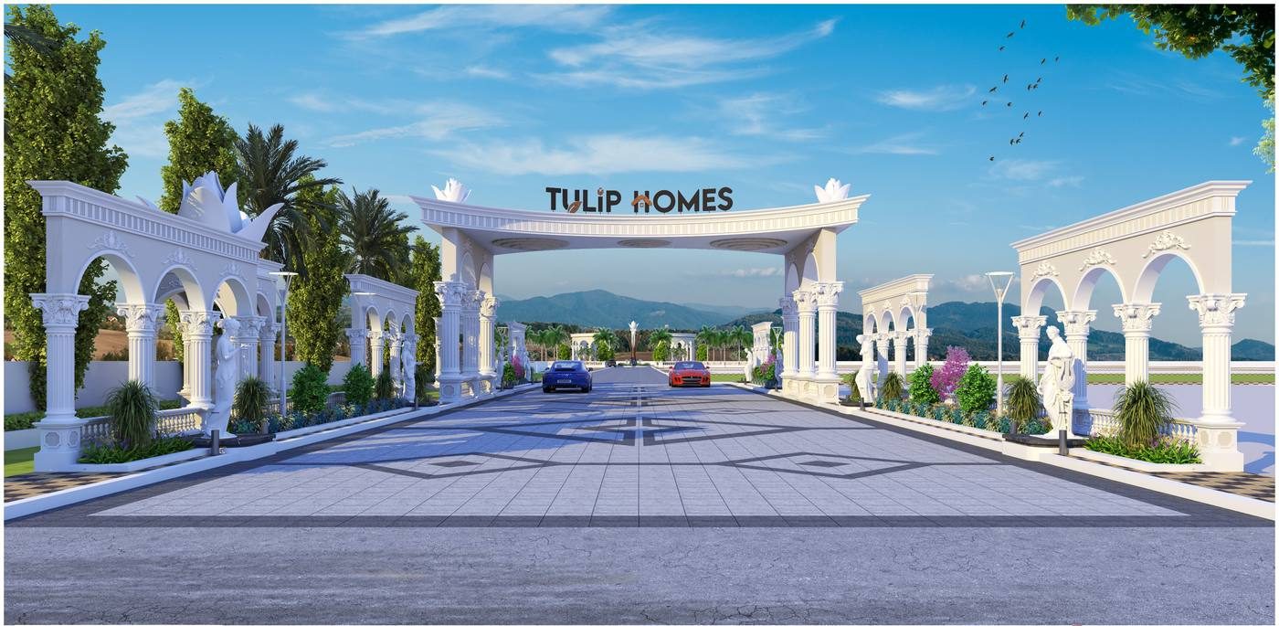 Tulip Homes